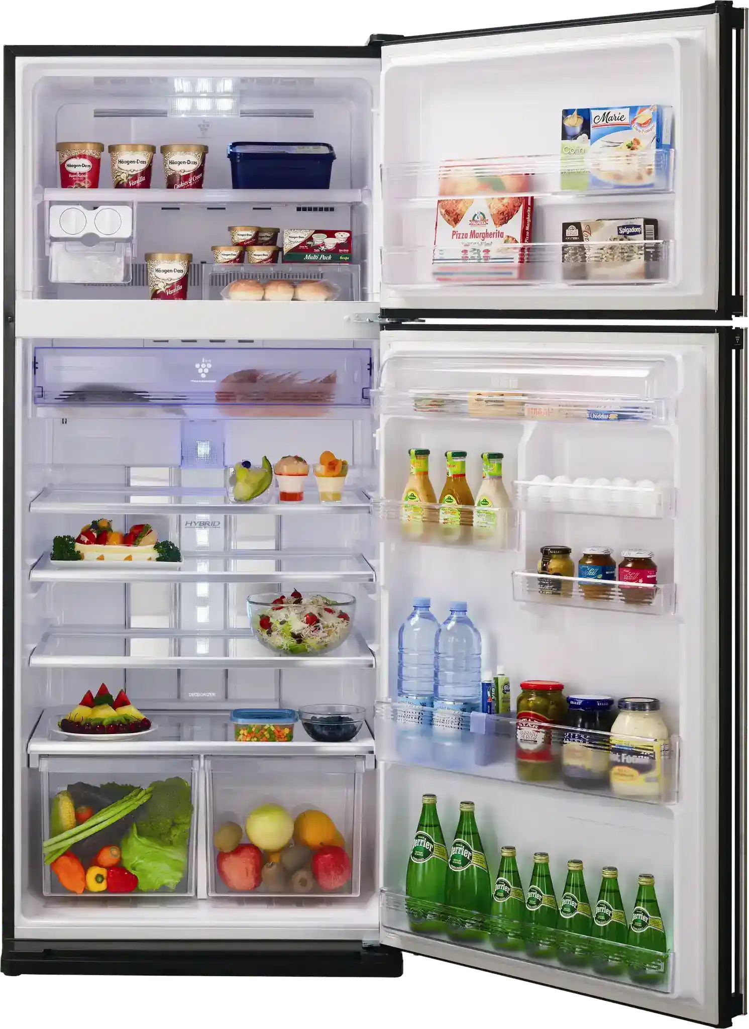 صيانة شارب الرئيسي